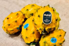 Thanh long vàng Ecuador nhập khẩu cả triệu đồng/kg