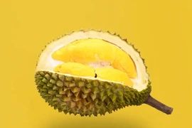 Các loại sầu riêng đắt đỏ bậc nhất hành tinh 