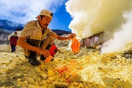 Có trả vàng miếng cũng ít người làm 5 nghề khốn khổ này 