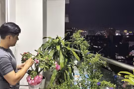 Căn hộ đầy hoa trái của MC Nguyên Khang giữa trung tâm TPHCM