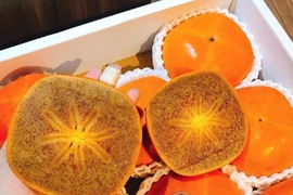 Hồng Nhật có gì đặc biệt mà giá 'chát' tới 2,5 triệu đồng/kg?