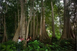 5 hoạt động tránh nóng gần TPHCM 