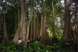 5 hoạt động tránh nóng gần TPHCM 