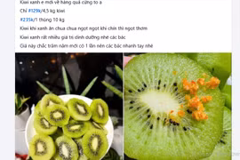 Thực hư kiwi giá chỉ 20.000 đồng/kg, bán đầy chợ