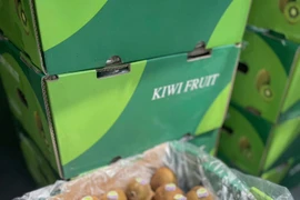 Kiwi giá rẻ chỉ vài chục ngàn đồng/kg nguồn gốc từ đâu?