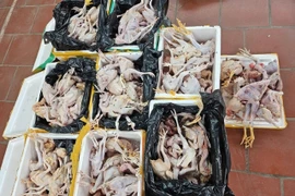Gần 200kg thịt gà hôi thối trên đường giao đến các điểm bán