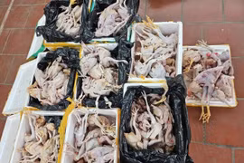 Gần 200kg thịt gà hôi thối trên đường giao đến các điểm bán