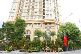 Quất cảnh trăm triệu đồng ra thị trường chào Tết