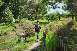 Trang trại như mơ của gia đình BTV Thu Uyên