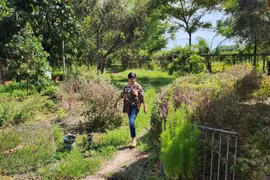 Trang trại như mơ của gia đình BTV Thu Uyên