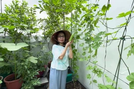 Khu vườn “bạc tỷ” trong biệt thự của Cẩm Ly 