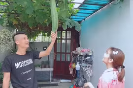 Ngắm khu vườn trong biệt thự 50 tỷ đi thuê của Mạc Văn Khoa