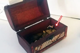 Cậu bé 4 tuổi sở hữu kho báu 8 tỷ trong hộp đồ chơi