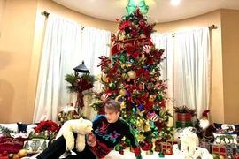 Tận mục biệt thự tại Mỹ ngập sắc màu Noel của Đàm Vĩnh Hưng