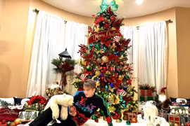 Tận mục biệt thự tại Mỹ ngập sắc màu Noel của Đàm Vĩnh Hưng