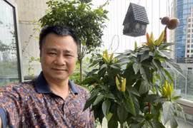 Ngỡ ngàng ngắm căn hộ với góc ban công xanh mướt của NSND Tự Long