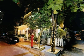 Toàn cảnh biệt thự 1.400m2 của Vy Oanh đón Giáng sinh 
