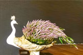 Trào lưu dùng cỏ dại trang trí trong nhà ở Hà Nội