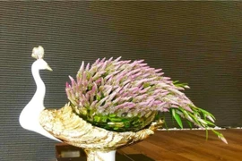 Trào lưu dùng cỏ dại trang trí trong nhà ở Hà Nội