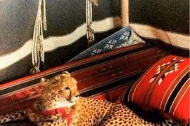 Thú chơi ngông lạ thường của các đại gia Trung Đông 