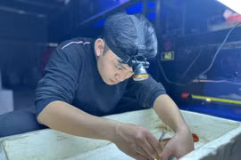 Bất ngờ những nghề độc lạ thu nhập cao ở Việt Nam