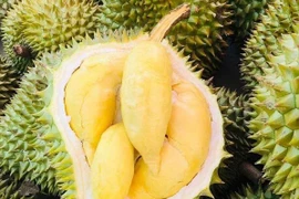 Thực hư sầu riêng 30.000 đồng/trái