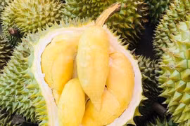 Thực hư sầu riêng 30.000 đồng/trái