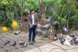 Ngôi nhà ngập tràn cây trái của nghệ sĩ Giang Còi