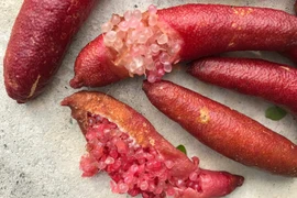 Chanh ngón tay đến 7 triệu đồng mỗi kg 