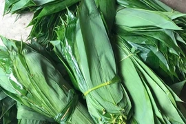 3 loại lá người dân vứt bỏ nay thành hàng xuất khẩu triệu USD