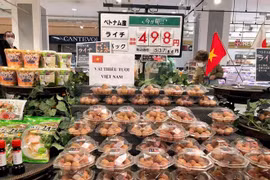 Vải thiều ở Việt Nam xuất ngoại có giá ngất ngưởng như nào?