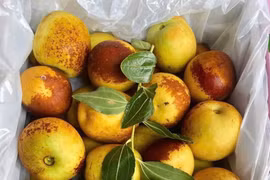 Hồng táo, táo đá, nho sữa của Trung Quốc đang hút khách Việt 