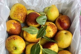 Hồng táo, táo đá, nho sữa của Trung Quốc đang hút khách Việt 