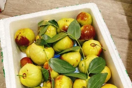 Hồng táo dẹt lạ mắt vẫn 'cháy hàng' dù vừa xuất hiện trên thị trường