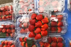 Cách phân biệt dâu tây Mộc Châu với dâu Trung Quốc thế nào?