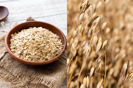 Cách phân biệt yên mạch thật và giả 