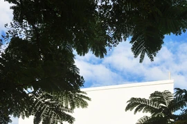 Nhà hướng Tây “không sợ nóng” vì sử dụng tường gạch thông gió