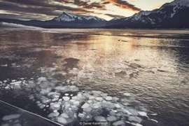 Kỳ thú hồ băng bong bóng