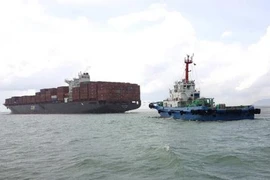Tàu nước ngoài dài gần 300 m mắc cạn tại Vũng Tàu