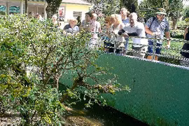 Trại rắn độc lớn nhất cả nước mở cửa cho khách tham quan