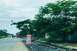 Cơn sốt đất Long Thành: Chính quyền cảnh báo, môi giới vẫn “làm loạn“