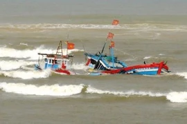 Tàu cá Bình Định bị tàu nước ngoài đâm chìm, một người tử vong