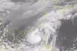 Bão số 11 diễn biến phức tạp, có hơn 100 phương án di chuyển