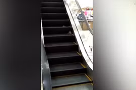 Chuột khổng lồ tấn công khách đi thang máy trong siêu thị