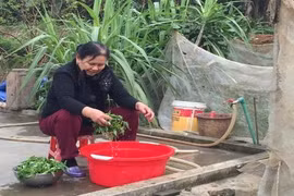 10 phút dùng nước, mất 1,8 tỷ đồng: Tiền tỷ ném vèo qua cửa sổ