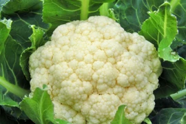 Top thực phẩm rất ít calo bạn ăn no căng mà không béo