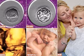 Hành trình em bé chào đời bằng thụ tinh nhân tạo