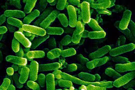 Khiếp đảm xem ổ bệnh rùng rợn nấp trong máy giặt