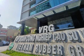 Lỗ nặng liên doanh liên kết khiến lãi ròng quý 3 GVR giảm 63% so cùng kỳ