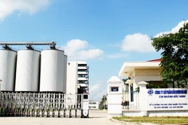 Halico lỗ quý thứ 25 liên tiếp, tăng lỗ lũy kế lên 475 tỷ đồng